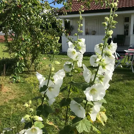Oslofjordens Perle Naersnes